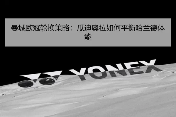 man-cheng-ou-guan-lun-huan-ce-lve-gua-di-ao-la-ru-he-ping-heng-ha-lan-de-ti-neng-2-774.jpg