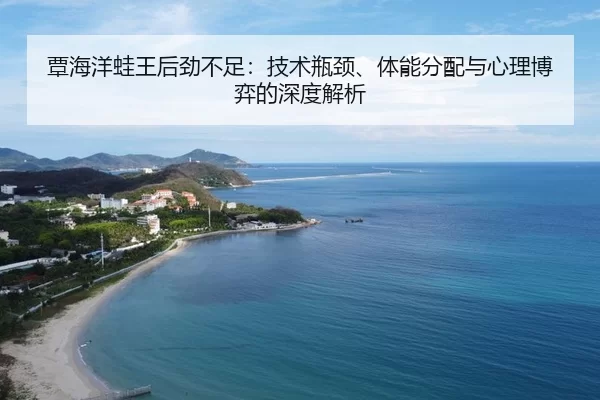 tan-hai-yang-wa-wang-hou-jin-bu-zu-ji-shu-ping-jing-ti-neng-fen-pei-yu-xin-li-bo-yi-de-shen-du-jie-xi-3-116.jpg