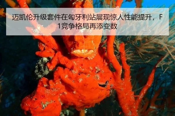 迈凯伦升级套件在匈牙利站展现惊人性能提升，F1竞争格局再添变数
