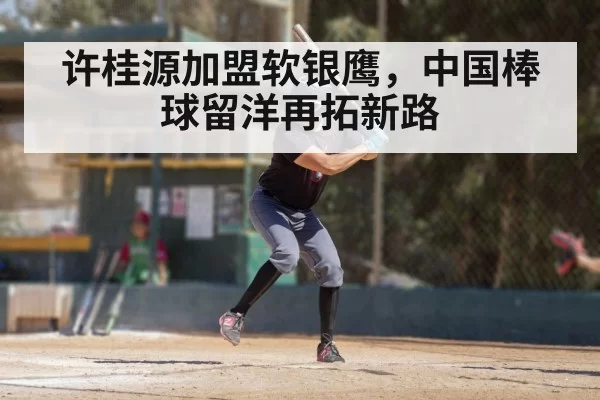 许桂源加盟软银鹰，中国棒球留洋再拓新路