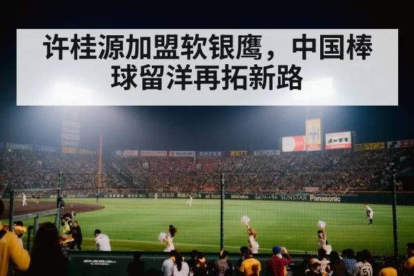 japanese baseball stadium